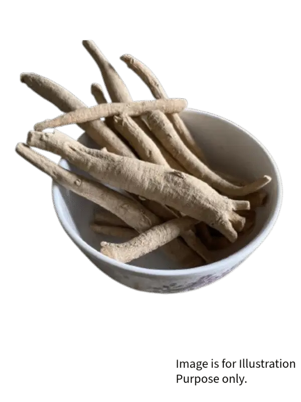 Ashwagandha jaributi (sabut) - Image 3