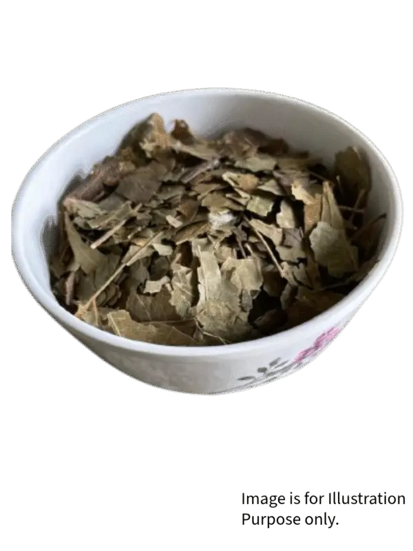 Neem - Image 4