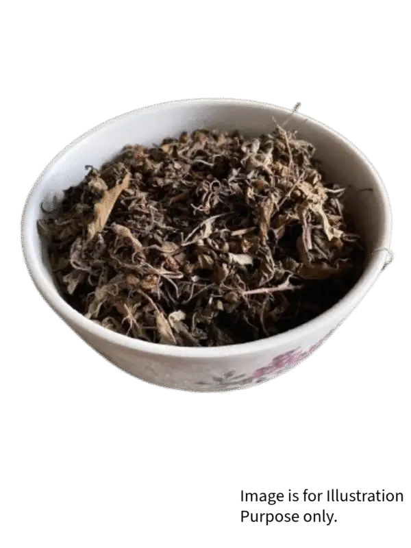 Tulsi - Image 2